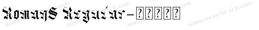 RomanS Regular字体转换